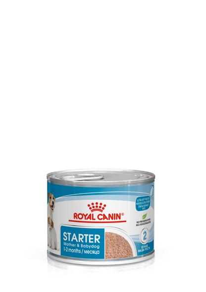 Royal Canin Canine Health Nutrition Starter Mousse (Wet Food   Cans) 12 x 195 g
