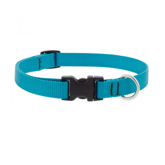 BASICS Adjustable Collar AQUA 3/4" FOR MEDIUM DOGS - 13"-22"