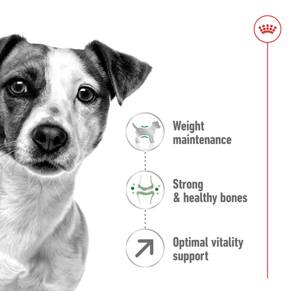 Royal Canin Mini Adult Dog Dry Food, Health Nutrition Mini Adult Dry Dog Food 2 Kg Multicolor