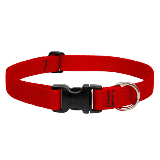 BASICS Adjustable Collar RED 1/2" FOR SMALL DOGS - 10"-16"
