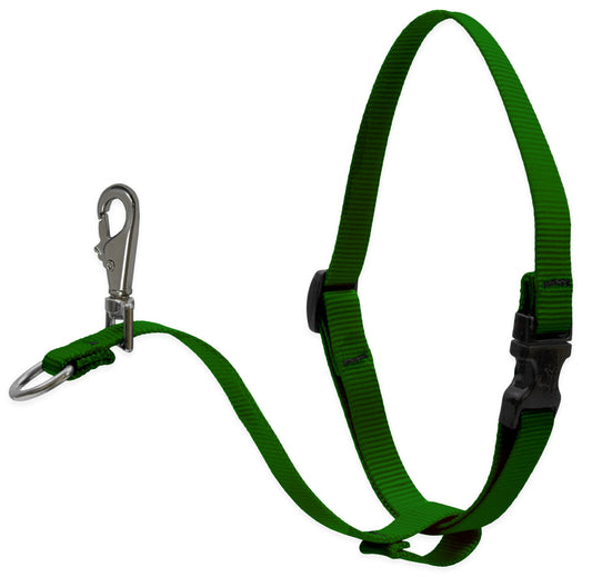 BASICS 1" NO-PULL HARNESS 26-38 - Green