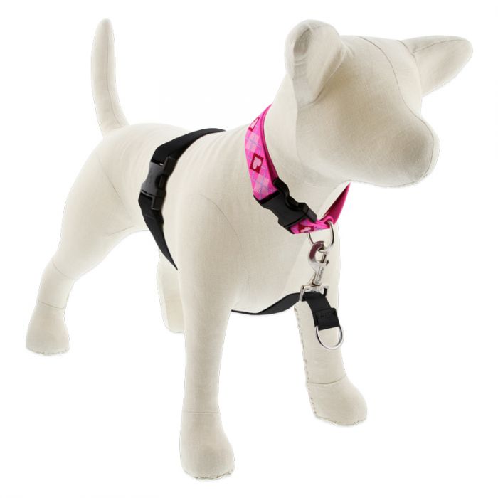 BASICS 1" NO-PULL HARNESS 26-38