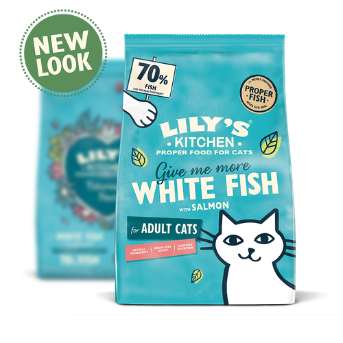 Lily's Kitchen Fisherman's Feast White Fish & Salmon Dry Cat Food
