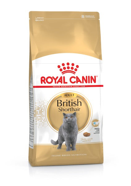 Royal Canin 4 kg Feline Breed Nutrition British Shorthair Adult