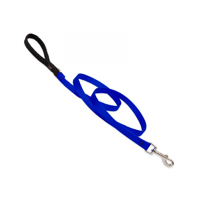 Basic Solids Padded Handle Dog Leash 4ft - 1/2" wide, Blue