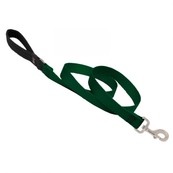 Basic Solids Padded Handle Dog Leash 4ft - 1" wide, Green