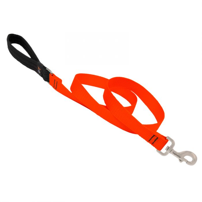 Basic Solids Padded Handle Dog Leash 4ft - 1" wide, Orange