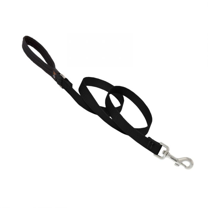 Basic Solids Padded Handle Dog Leash 4ft - 3/4" wide, Black