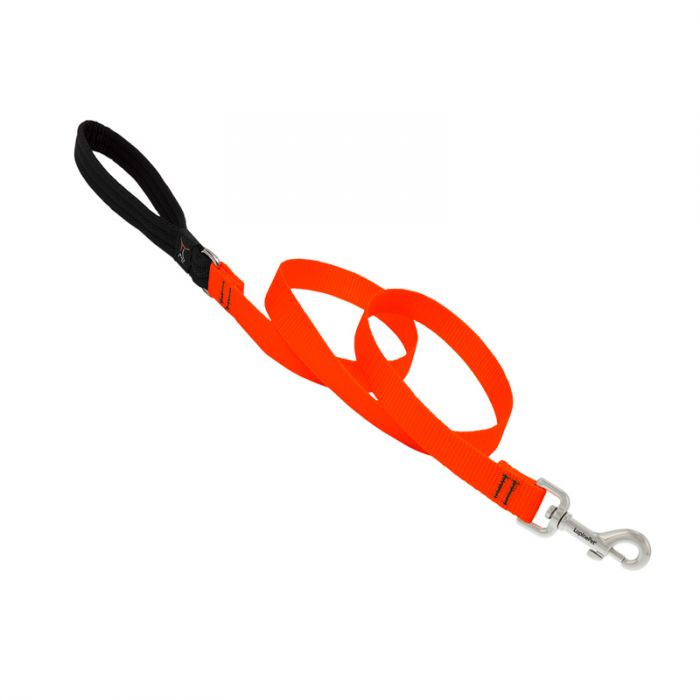 Basic Solids Padded Handle Dog Leash 4ft - 3/4" wide, Orange