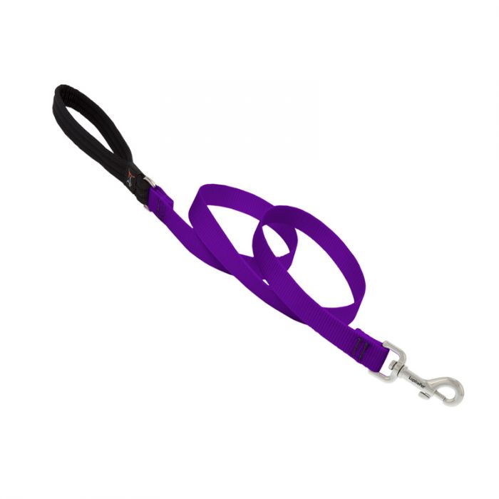 Basic Solids Padded Handle Dog Leash 4ft - 3/4" wide, Purple