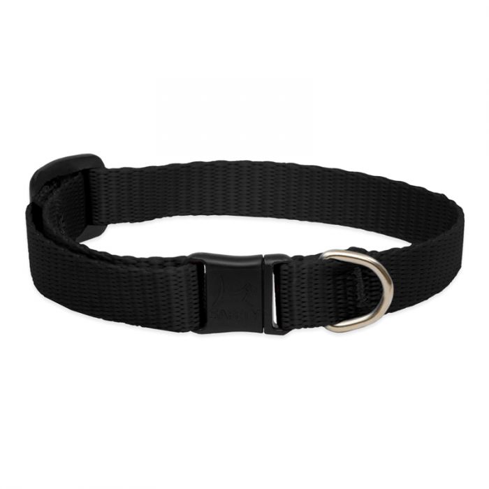 Basic Solids Safety Cat Collar - Black