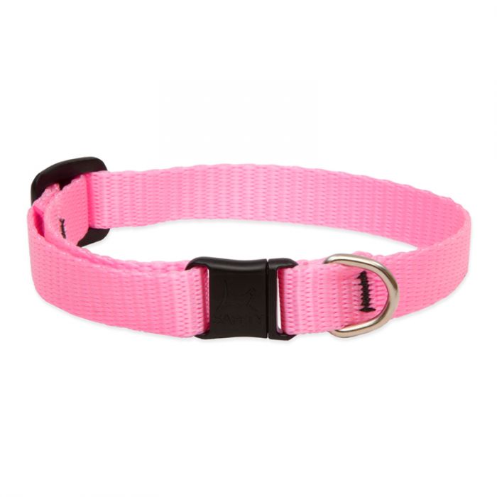 Basic Solids Safety Cat Collar - Pink