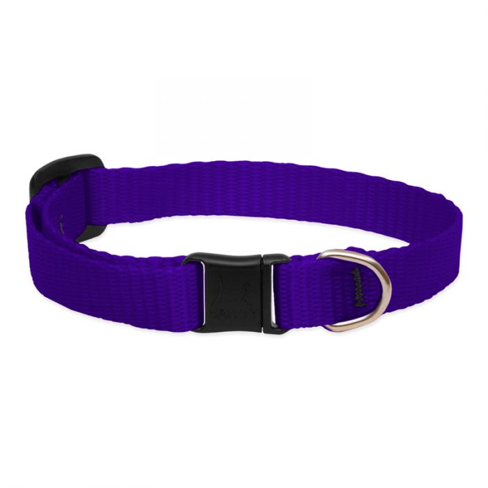 Basic Solids Safety Cat Collar - Purple