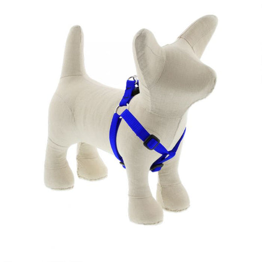Small Dog Basics Step In Harness 1/2" - 10"-13", Blue