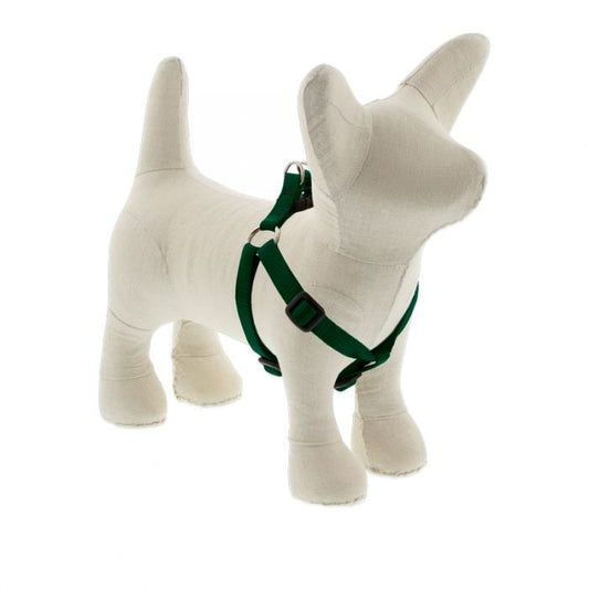 Small Dog Basics Step In Harness 1/2" - 10"-13", Green