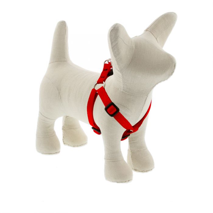 Small Dog Basics Step In Harness 1/2" - 10"-13", Red