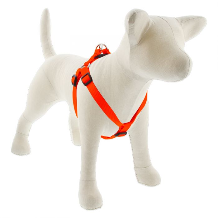 Small Dog Basics Step In Harness 1/2" - 10"-13", Orange