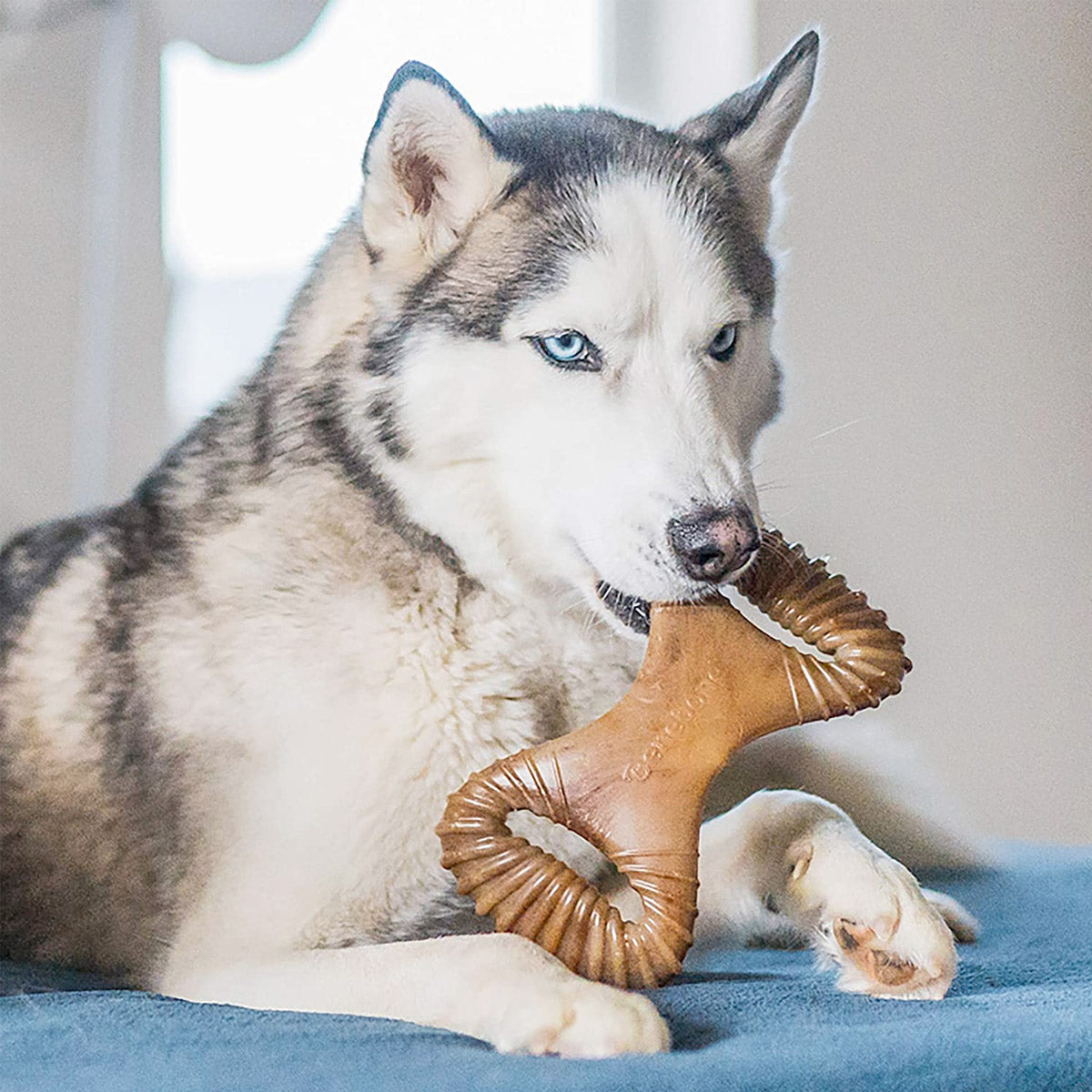 Benebone Dental Dog Chew Toy - Bacon