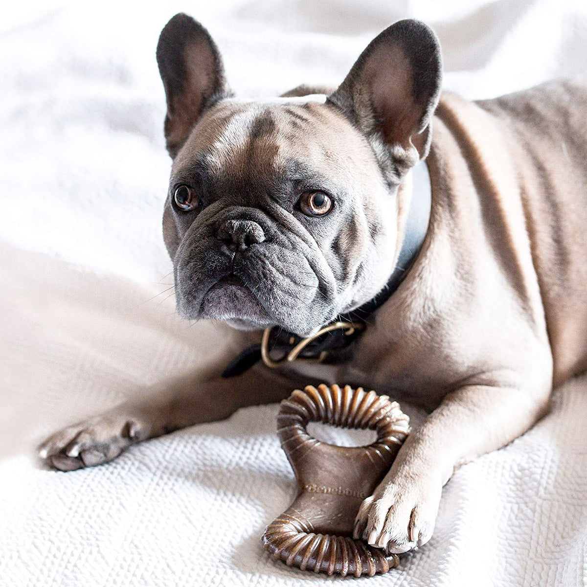 Benebone Dental Dog Chew Toy - Peanut