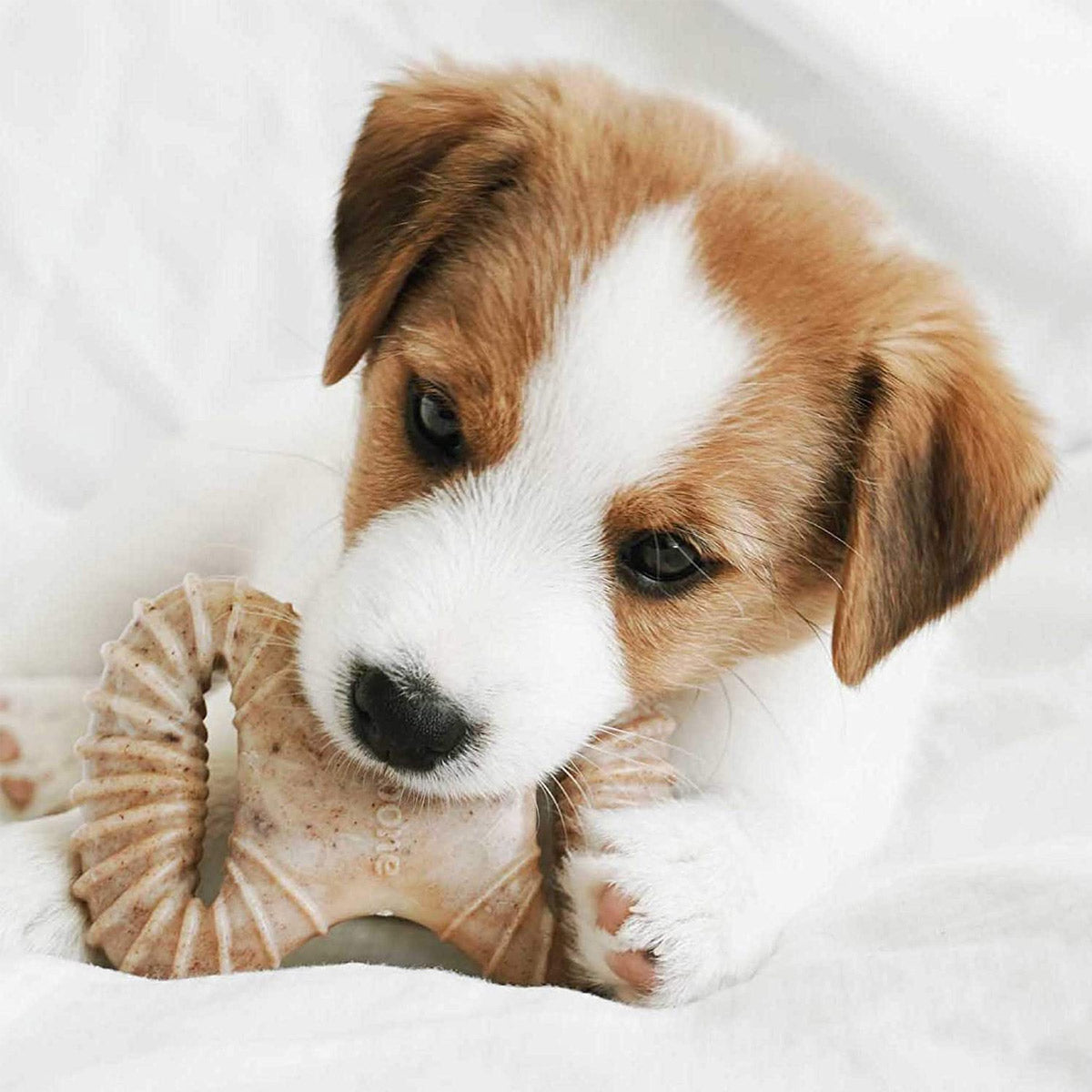 Benebone Puppy 2-Pack Dental Chew/Wishbone (Tiny) - Bacon