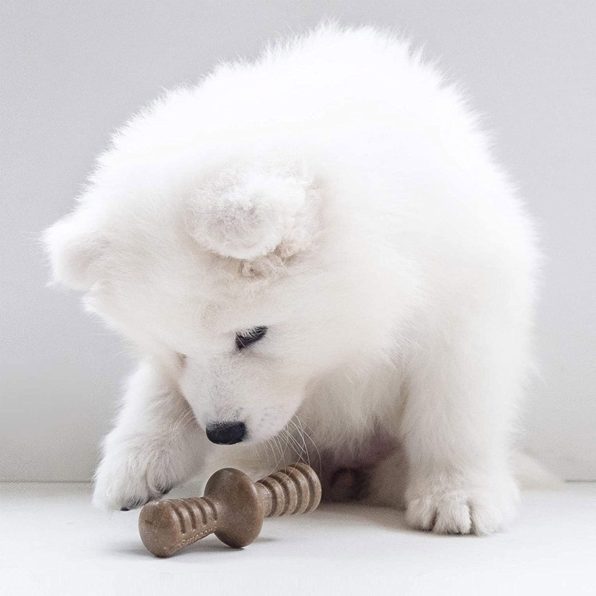 Benebone Puppy 2-Pack Maplestick/Zaggler (Tiny) - Bacon