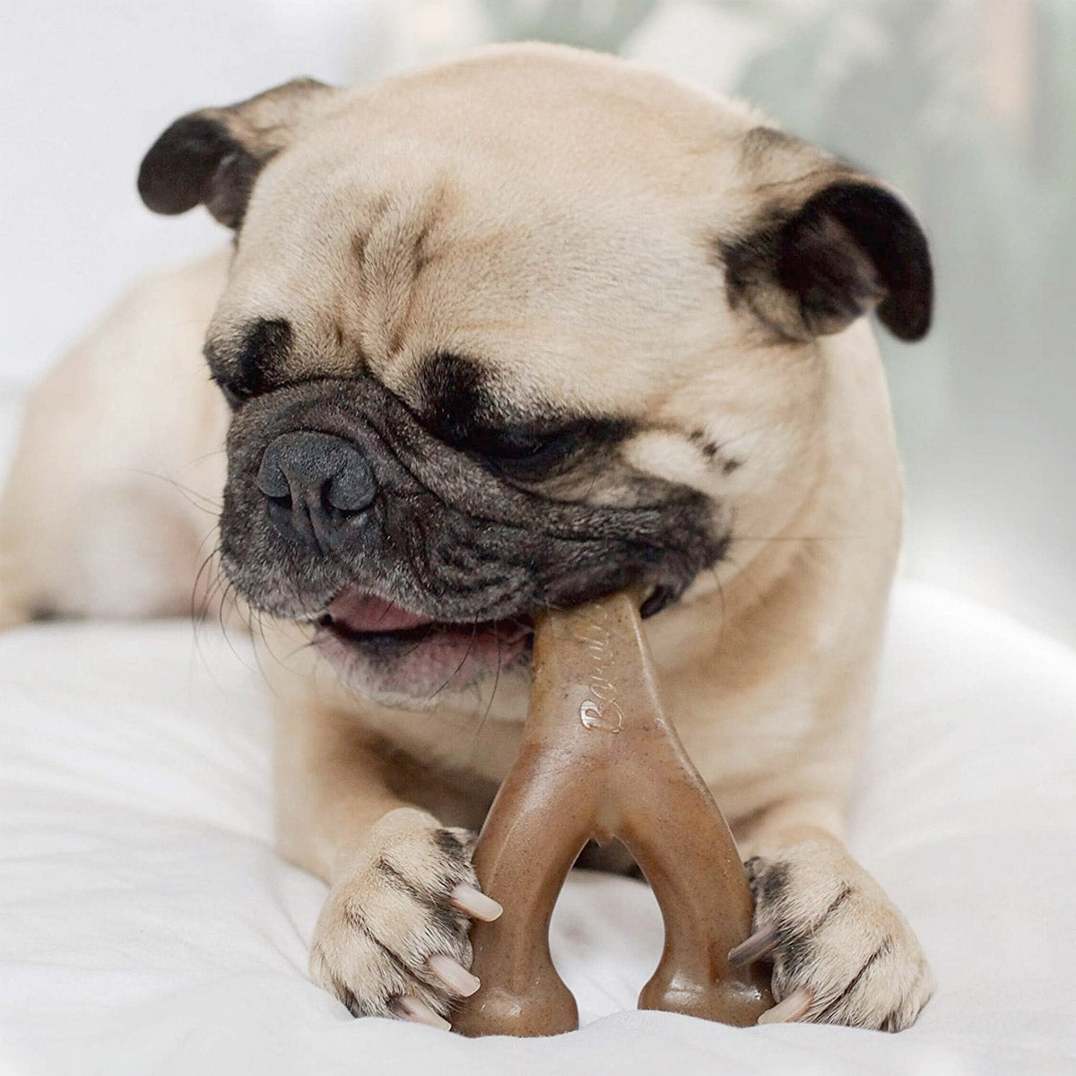 Benebone Wishbone Dog Chew Toy - Peanut