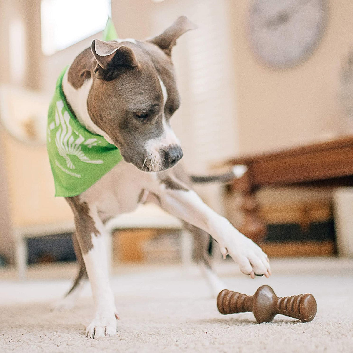 Benebone Zaggler Dog Chew Toy - Bacon