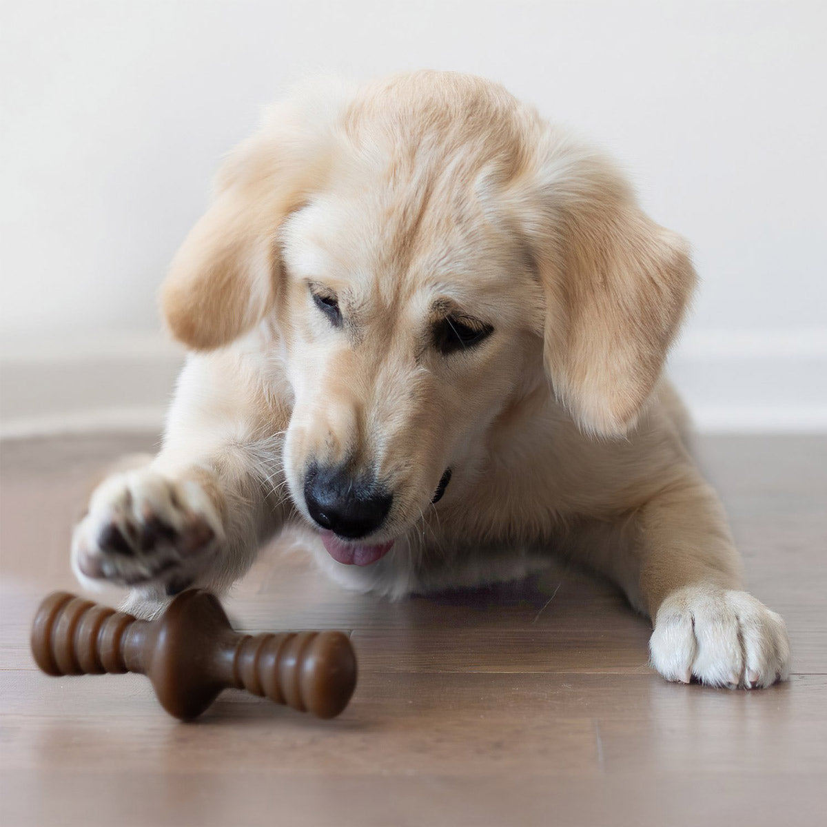 Benebone Zaggler Dog Chew Toy - Peanut