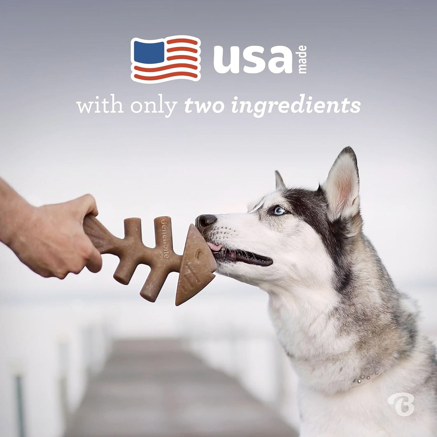 Benebone Dental Chew Fishbone Jack Salmon (Tiny) - 2 pack