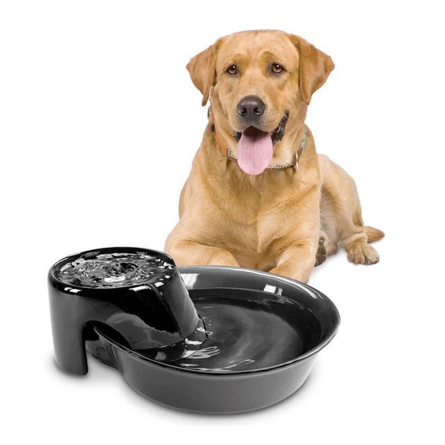 Big Max Ceramic Pet Drinking Fountain 128oz (Black)