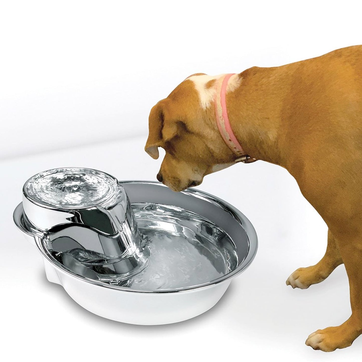 Big Max Pet Drinking Fountain 128oz - Stainless Steel