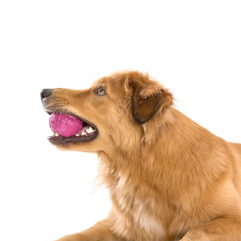 Westpaw Design - Boz Dog Ball