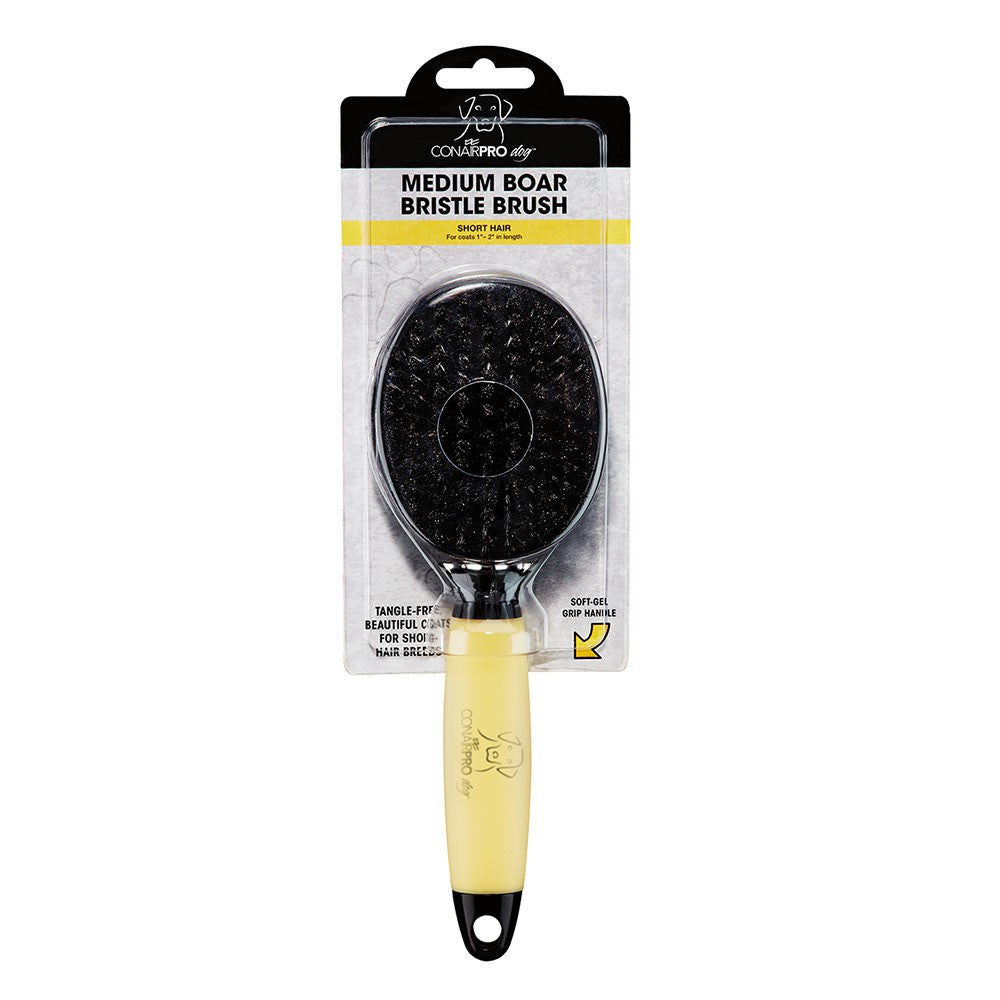 Bristle Brush Medium