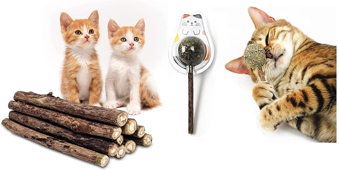 Organic Catnip Sticks - Set of 5 pcs All-Natural High-Performance Chew Toys for Cats