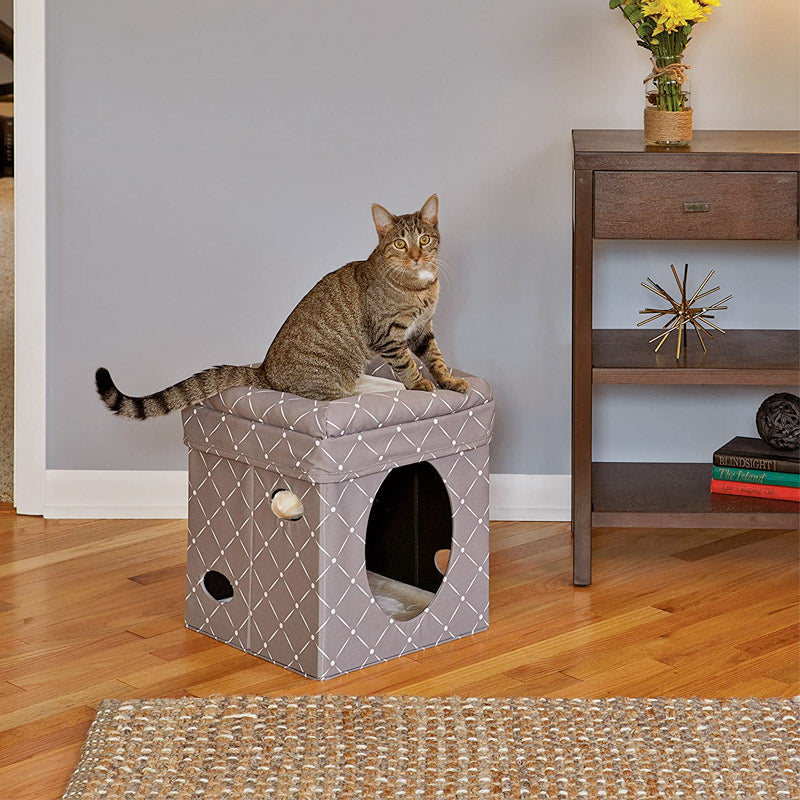 Curious Cat Cube - Mushroom