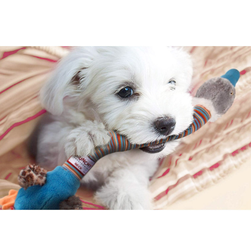 "Crunchy Neck" Duck with Bone  &  Squeaker - Small