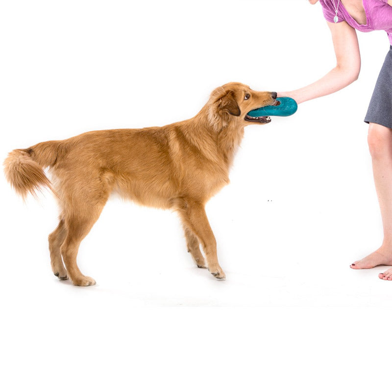 Westpaw Design Dash Dog Frisbee