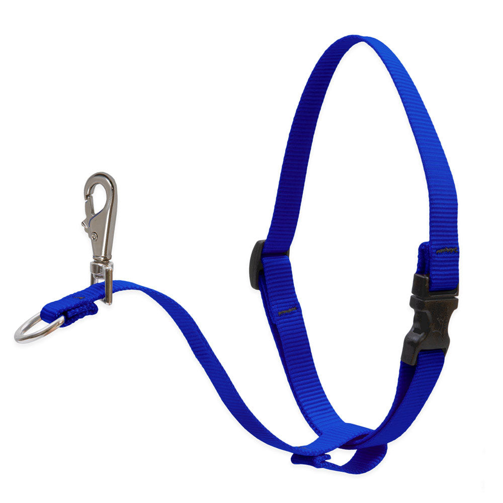 Dog Basic Solids No Pull Harness - Blue, 3/4" width - 16" -26"