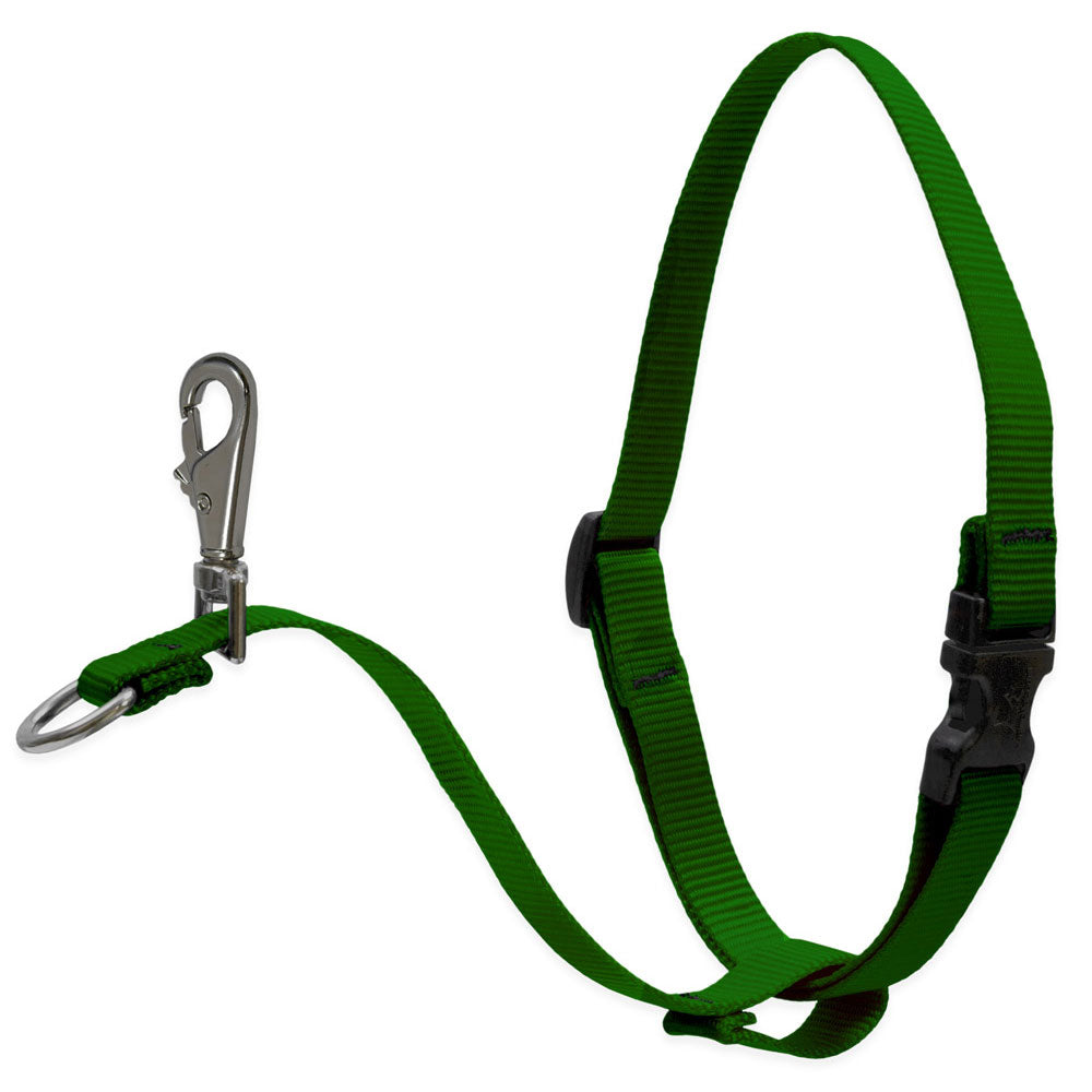 Dog Basic Solids No Pull Harness - Green, 3/4" width - 16" -26"