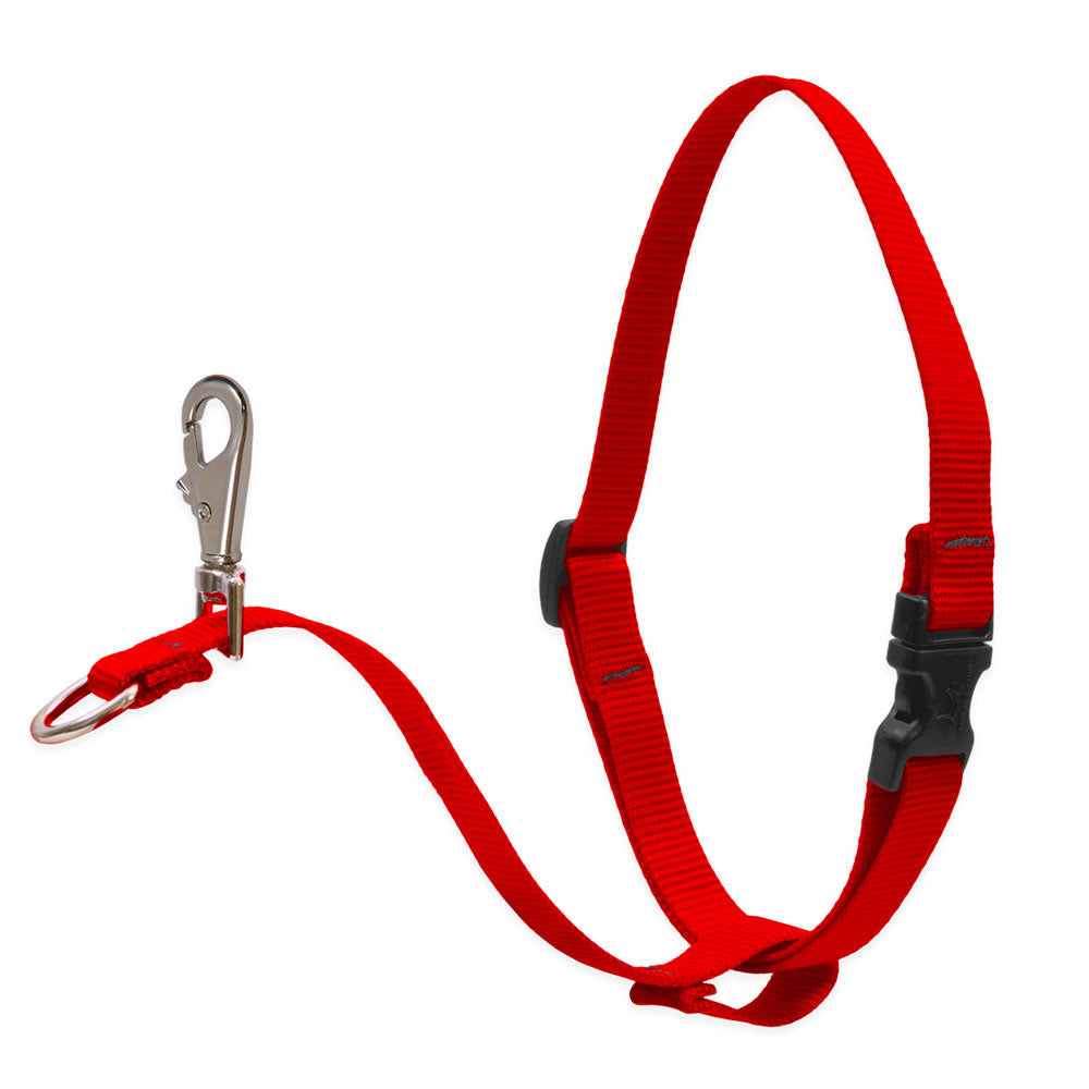 Dog Basic Solids No Pull Harness - Red, 1" width - 26" -38"