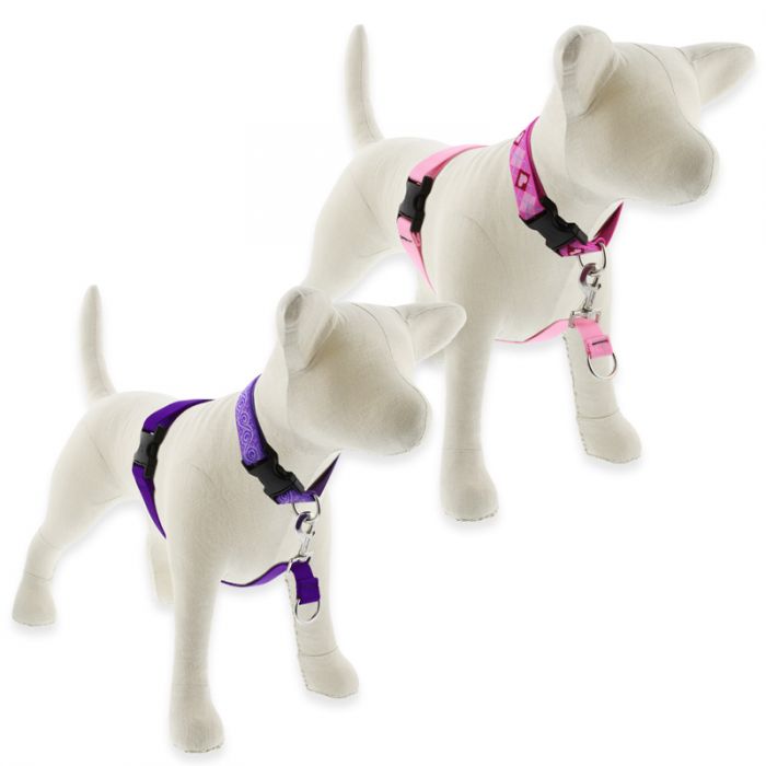Dog Basic Solids No Pull Harness