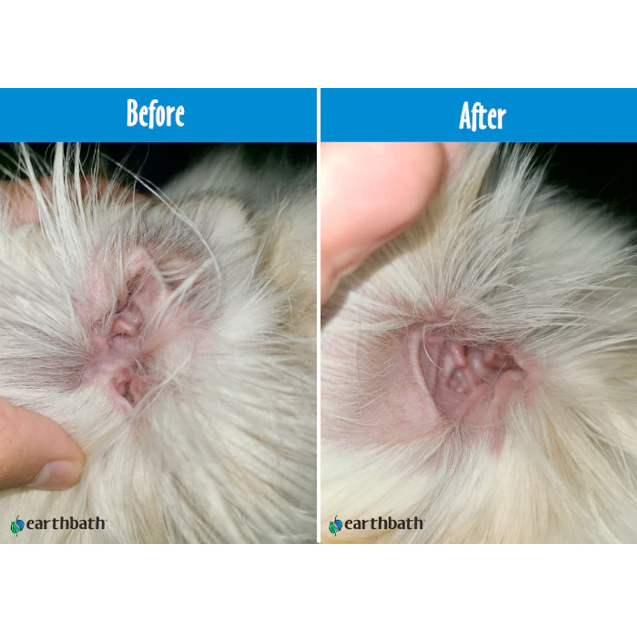 Earthbath Ear Wipes (Witch Hazel & Chamomile) - 30 Wipes