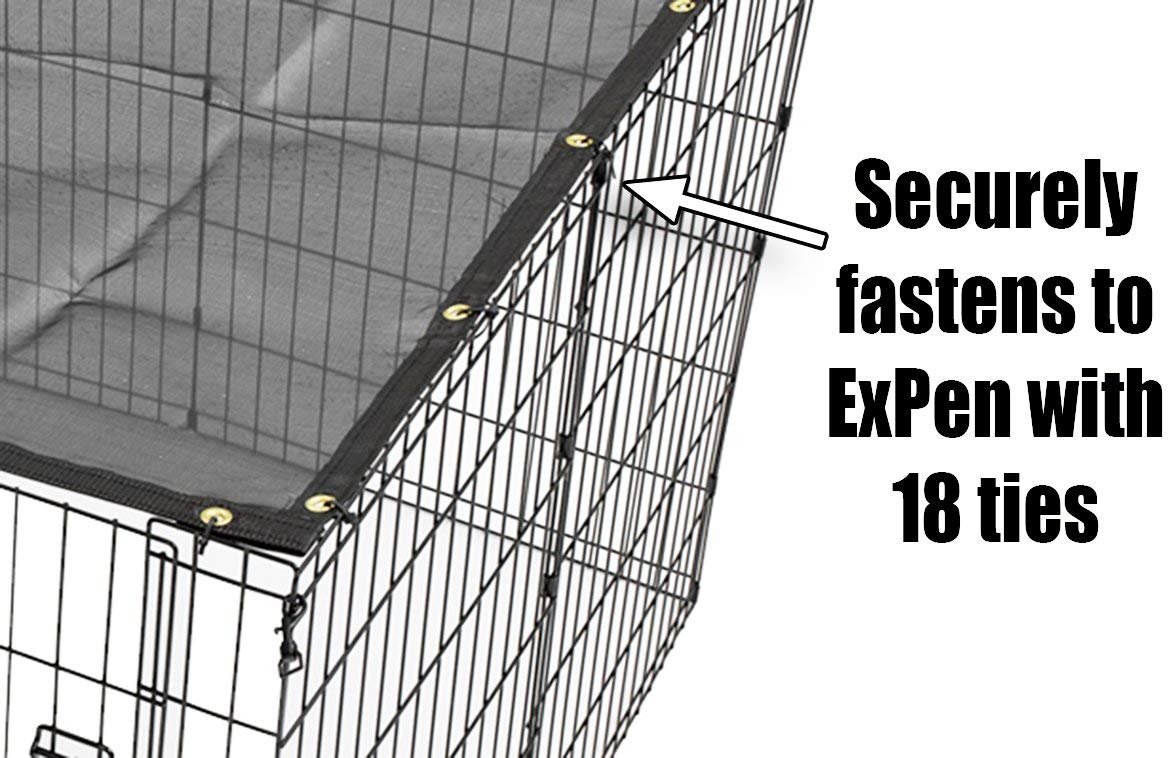 Exercise Pen Sunscreen 4x4