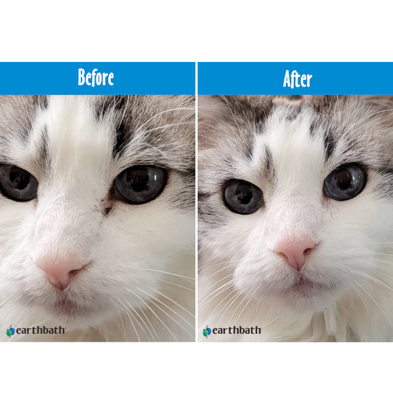 Earthbath Hypoallergenic Eye Wipes (Witch Hazel & Aloe) - 30 Wipes