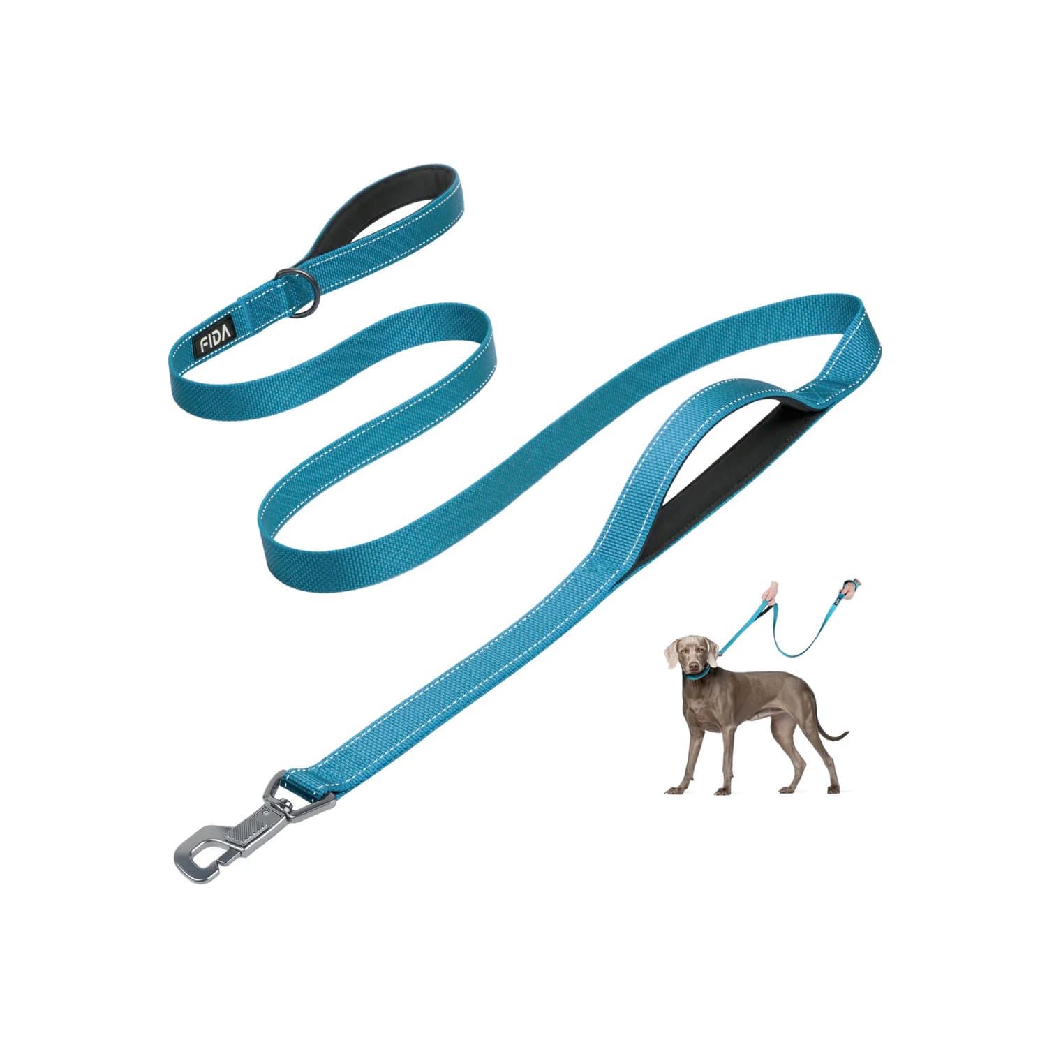 Fida Heavy Duty Dog Leash - 5ft, Blue