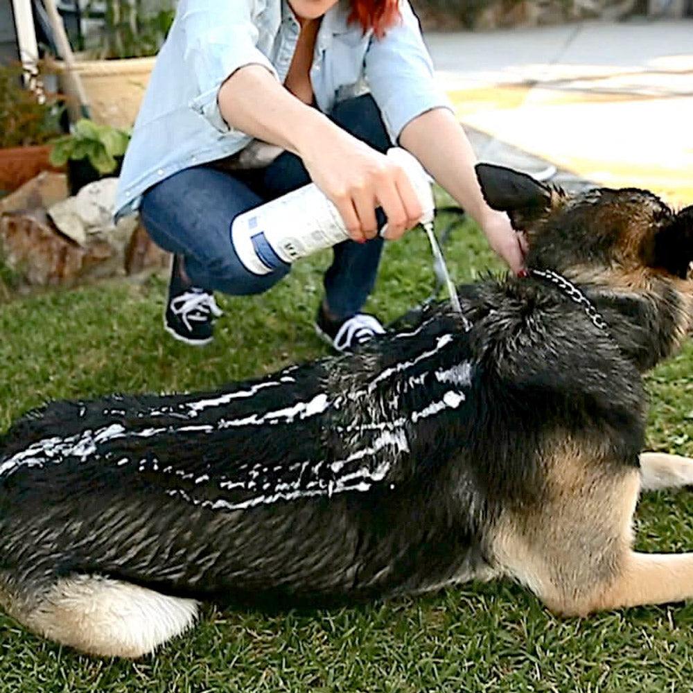 Vetericyn FoamCare® Pet Shampoo - All Coats