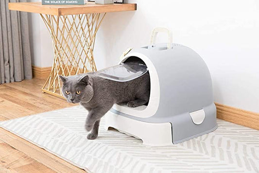Cat Litter Box - Covered