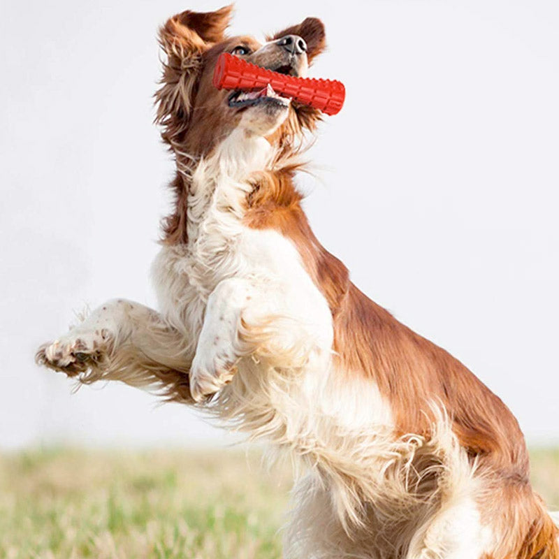 Johnny Stick Extra Durable Solid Rubber Dog Toy