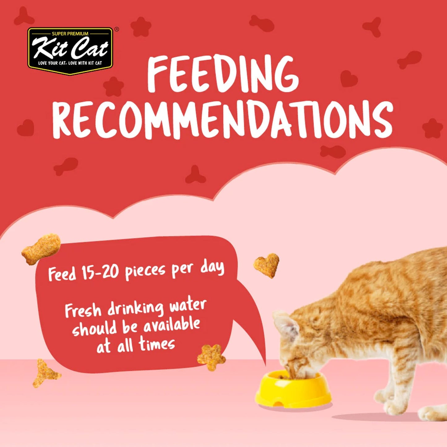 Kit Cat Kitty Crunch Beef Flavor 60g