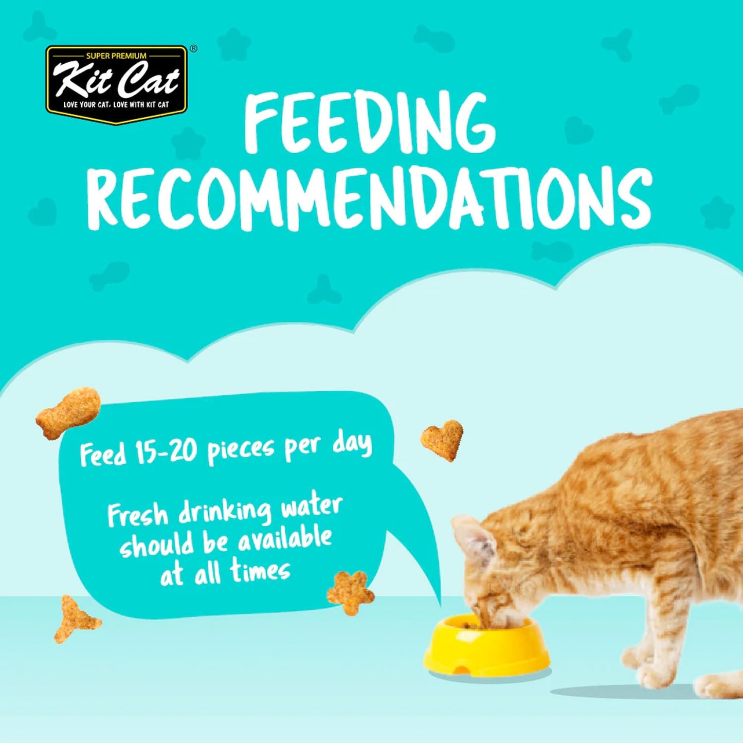 Kit Cat Kitty Crunch Lamb Flavor 60g